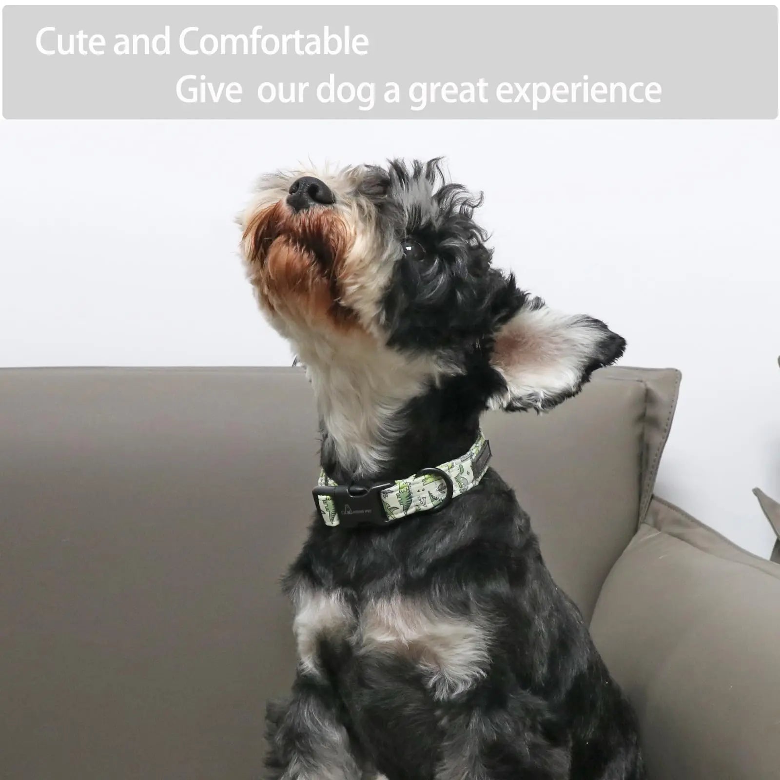 Adjustable Cotton Dinosaur Dog Collar