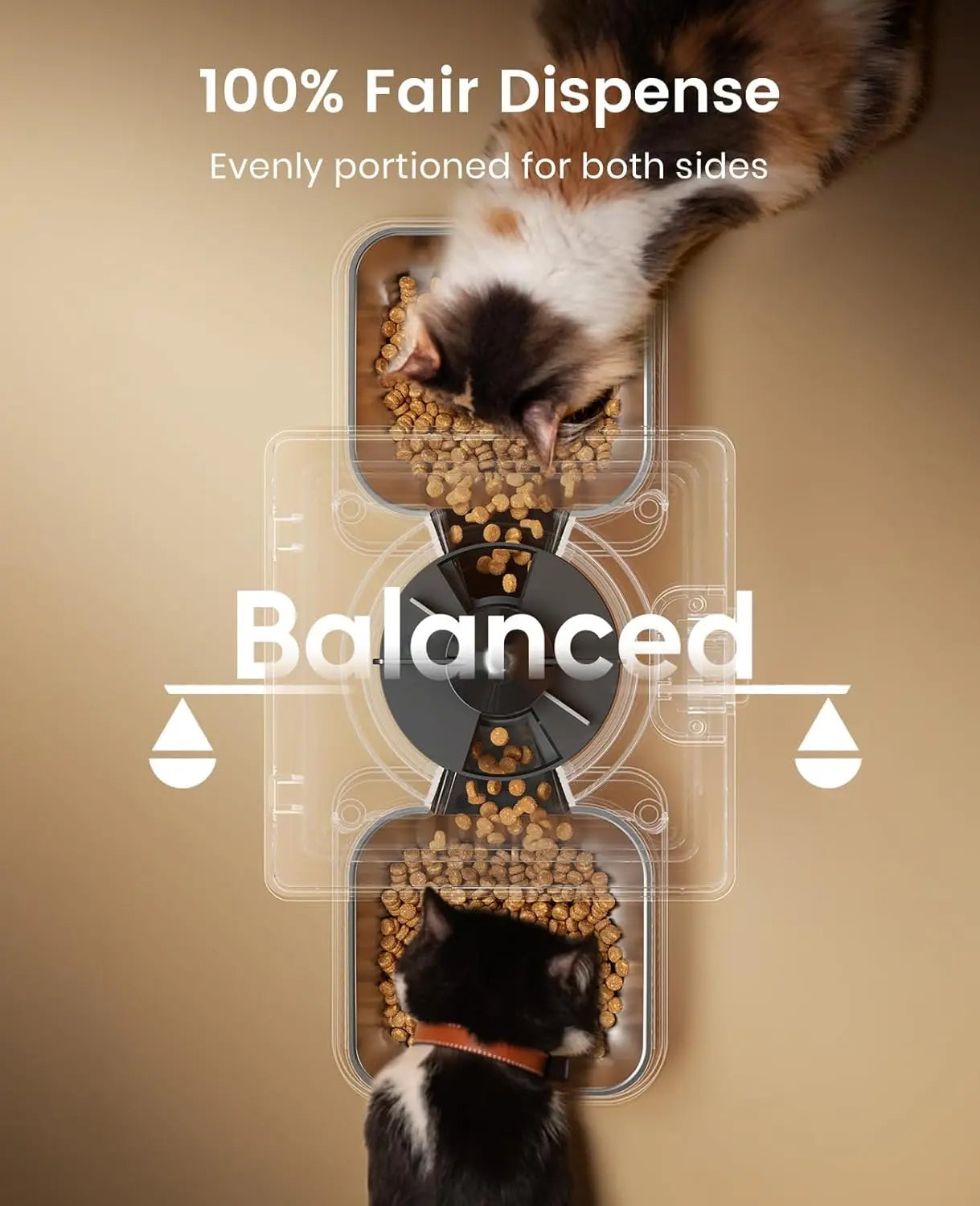 Automatic Cat Feeder for 2 Cats
