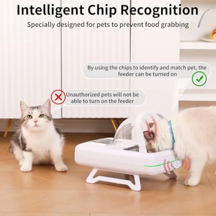 RFID Cat Feeder with Collar Sensor