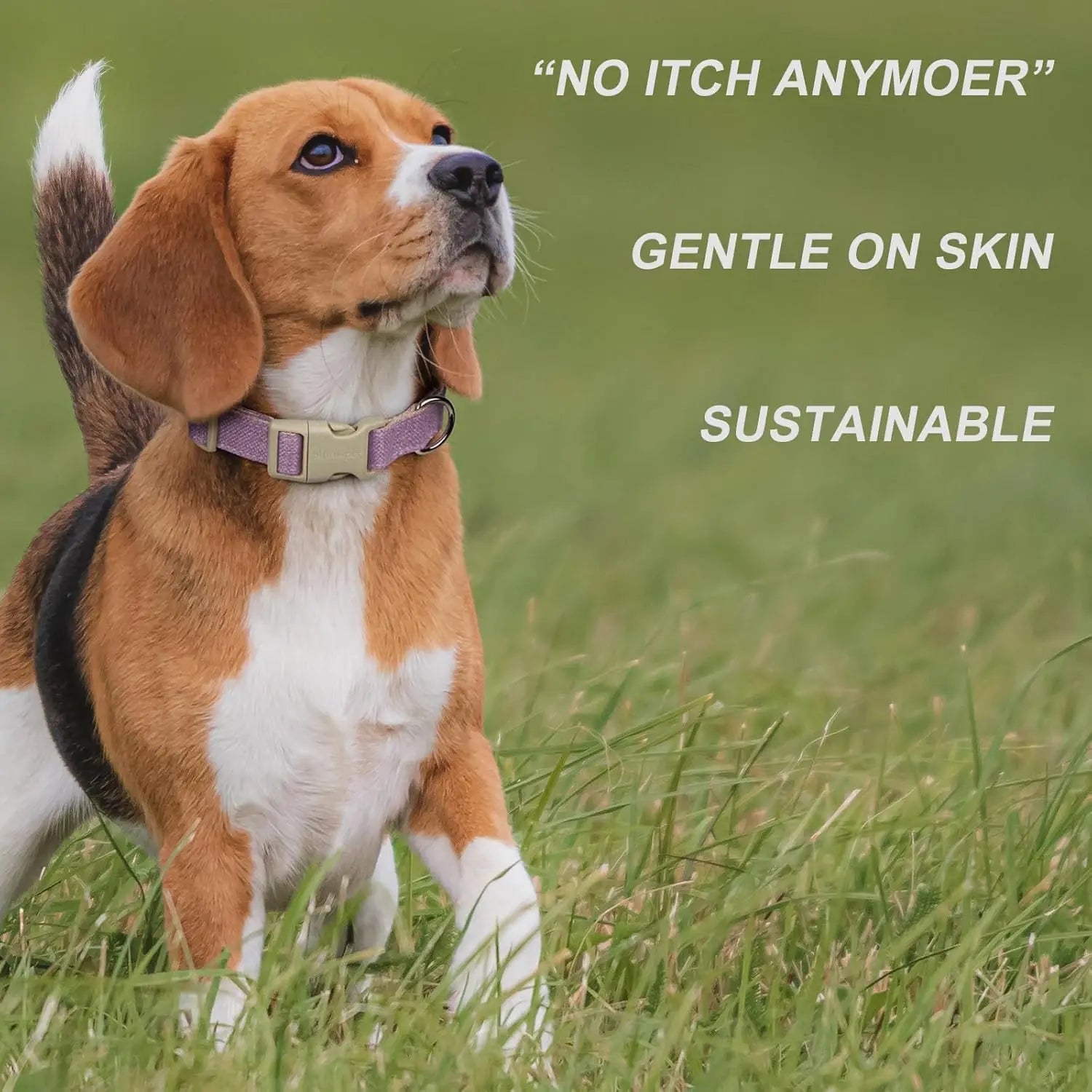 Soft Cotton Hemp Dog Collar & Leash Set