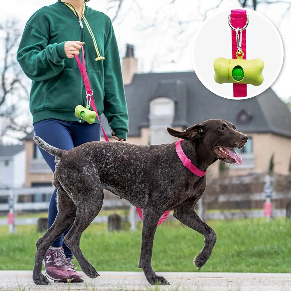 Durable Nylon Dog Collar & Leash Set
