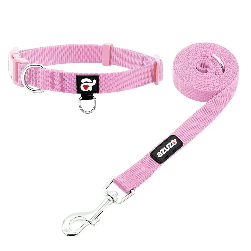 Durable Nylon Dog Collar & Leash Set