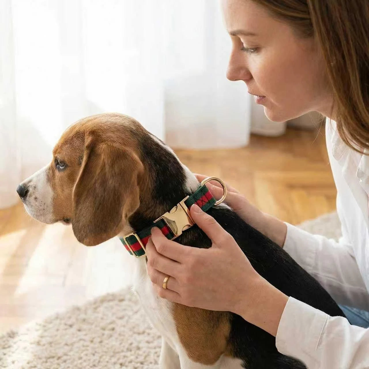 Cute Luxury Dog Collar