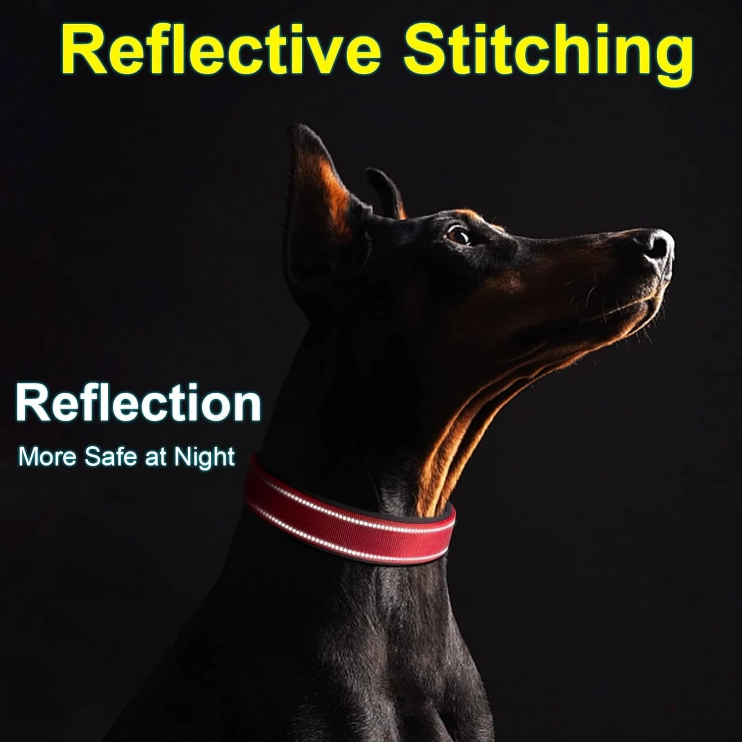 Heavy Duty Dog Collar