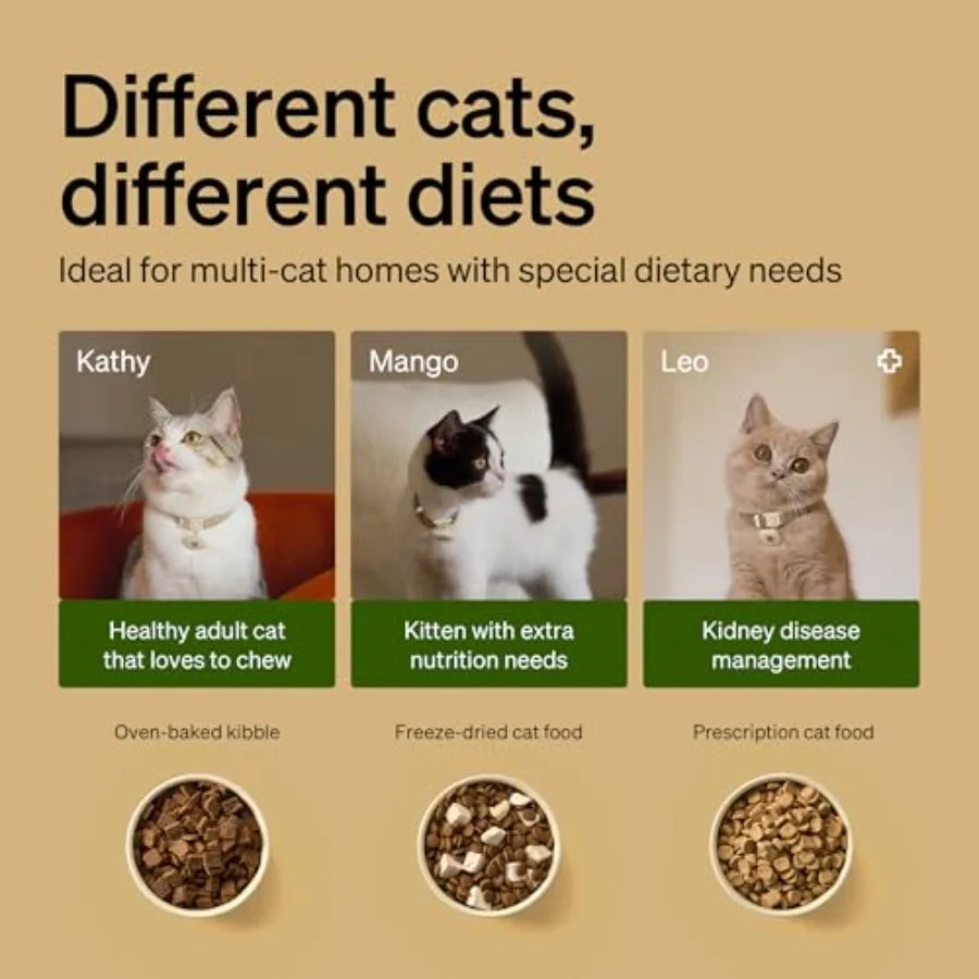 Cat Feeder with Collar Sensor
