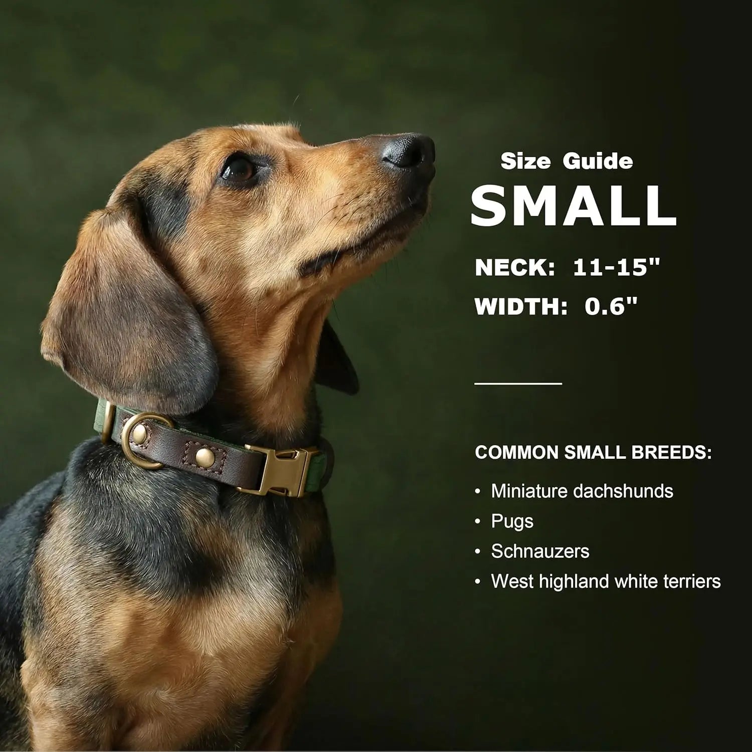 ComfortFit Small Dog Collar