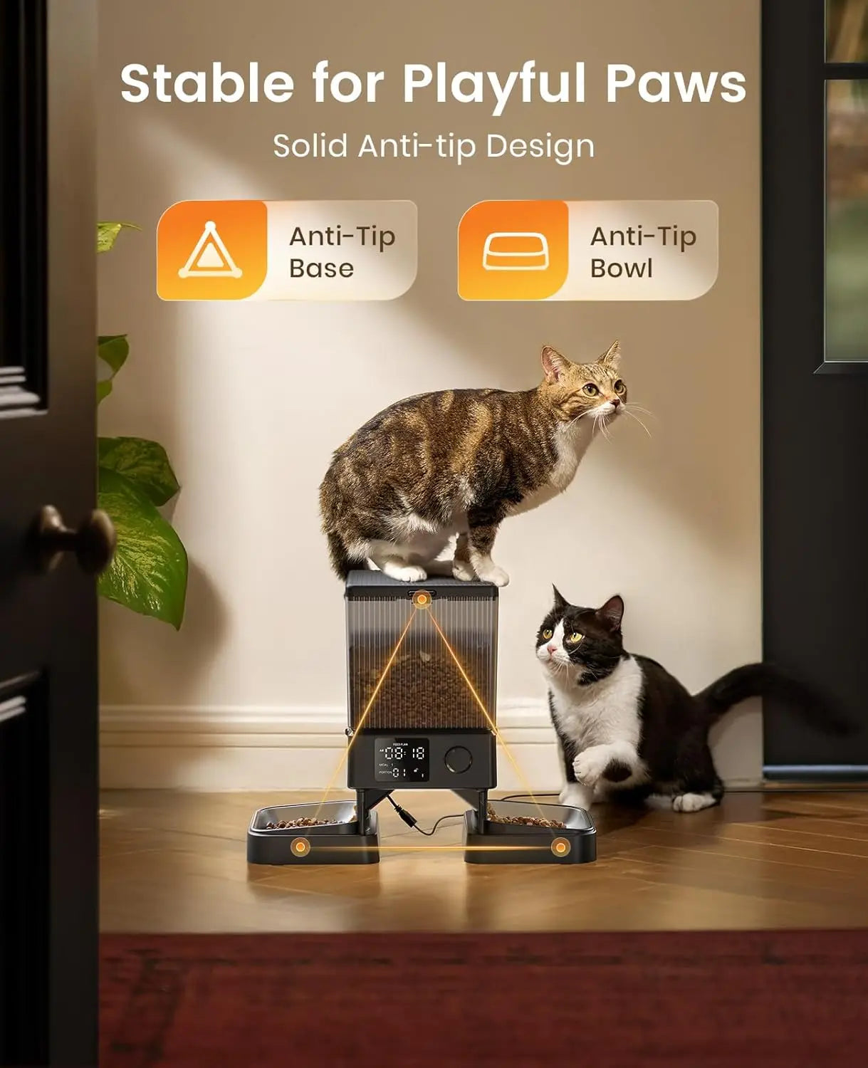 Automatic Cat Feeder for 2 Cats