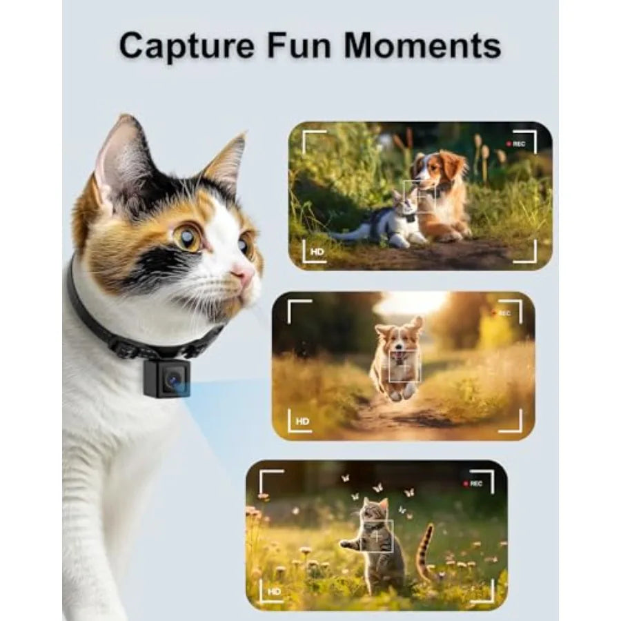 Cat Camera Collar 1080P HD