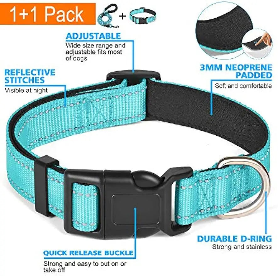 Reflective Padded Dog Collar & Leash Set