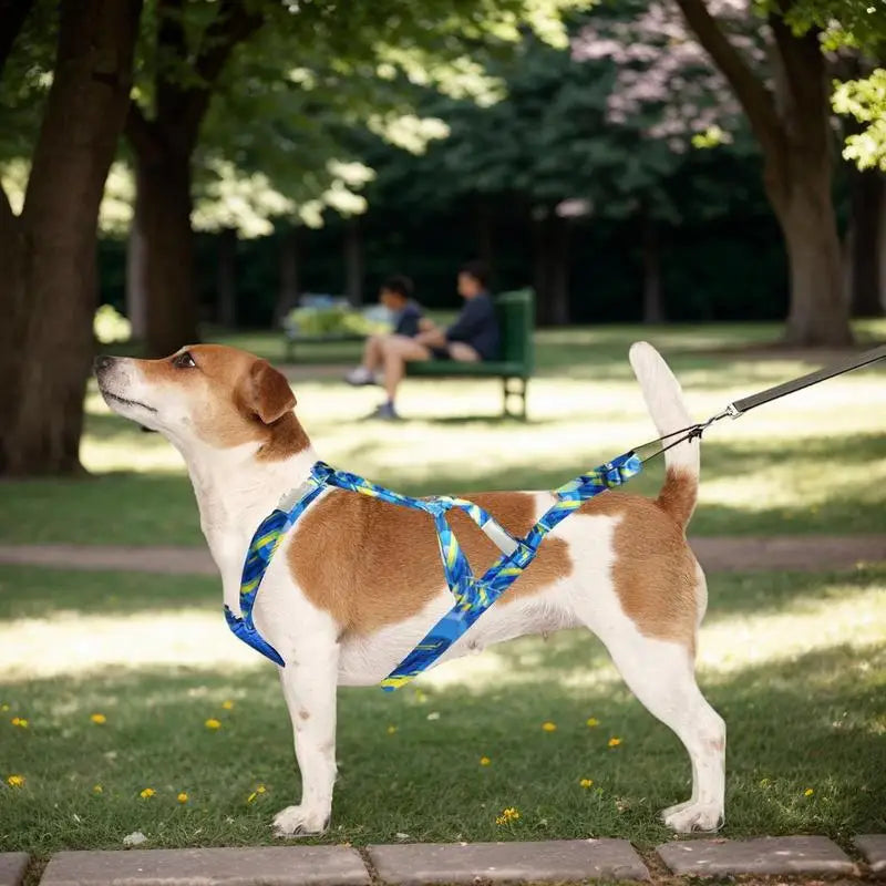 Reflective Dog Pulling Harness