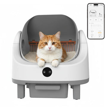 App Control Self-Cleaning Litter Box