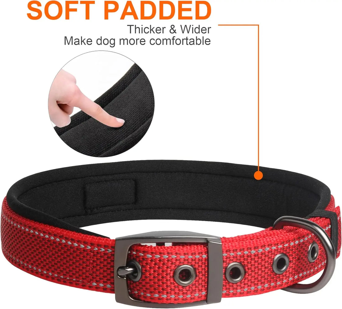 Heavy Duty Dog Collar