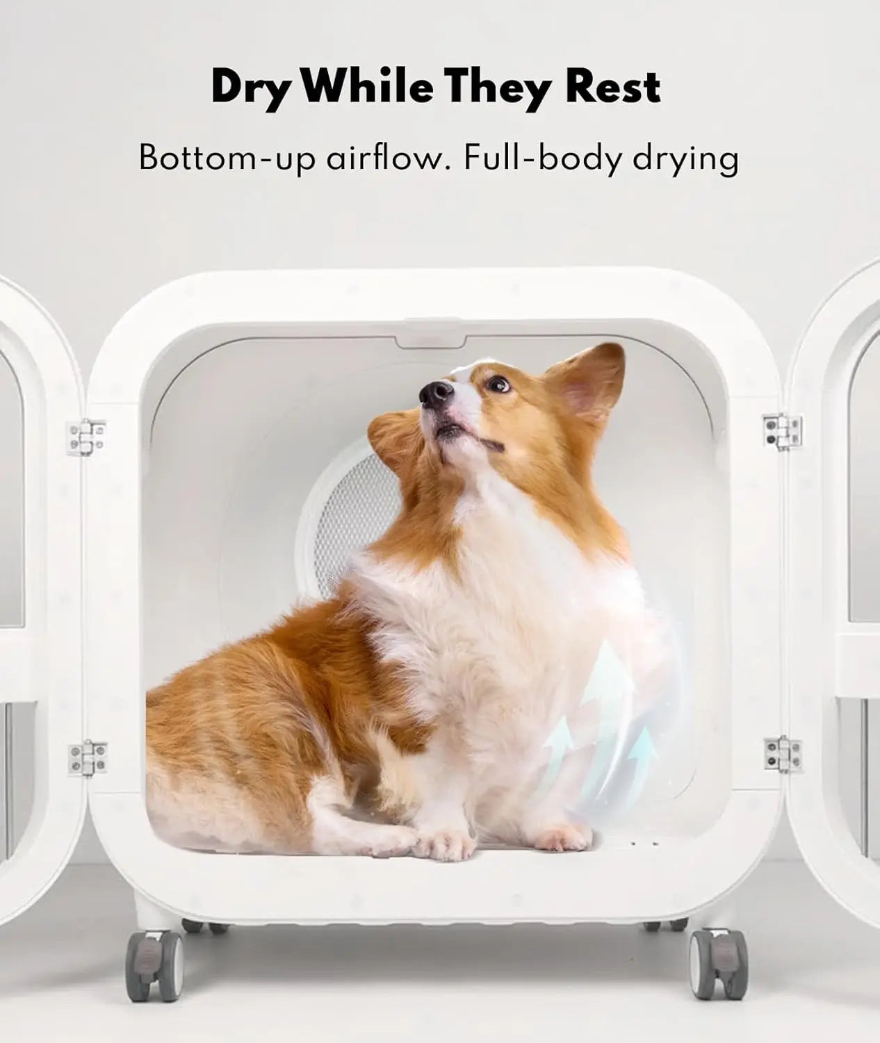 Pet Dryer Box