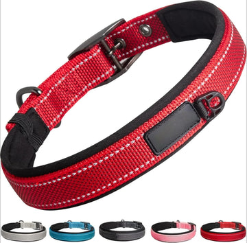 Heavy Duty Dog Collar