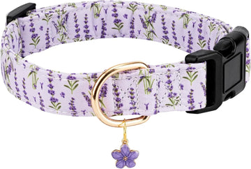 Personalized Purple Lavender Dog Collar