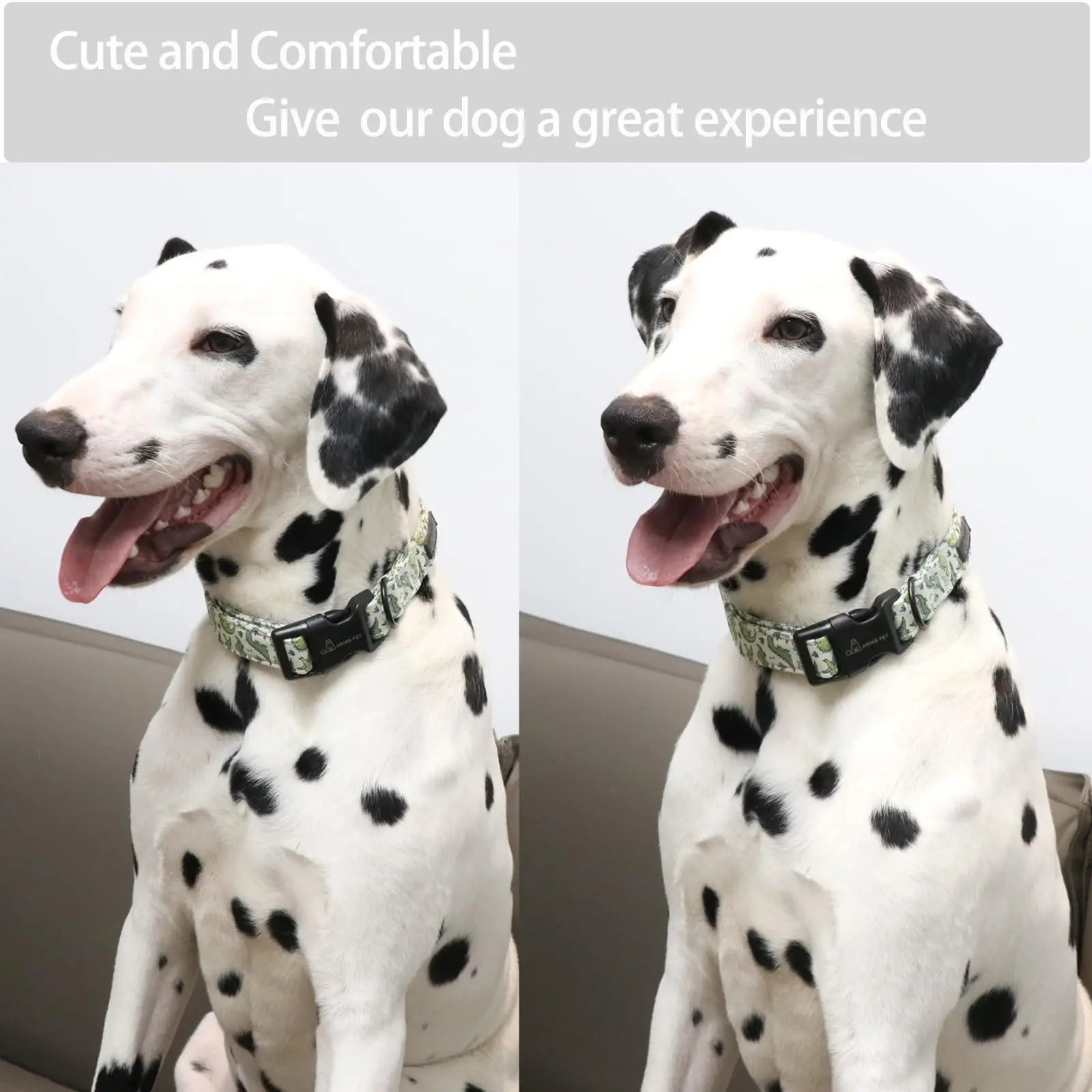 Adjustable Cotton Dinosaur Dog Collar