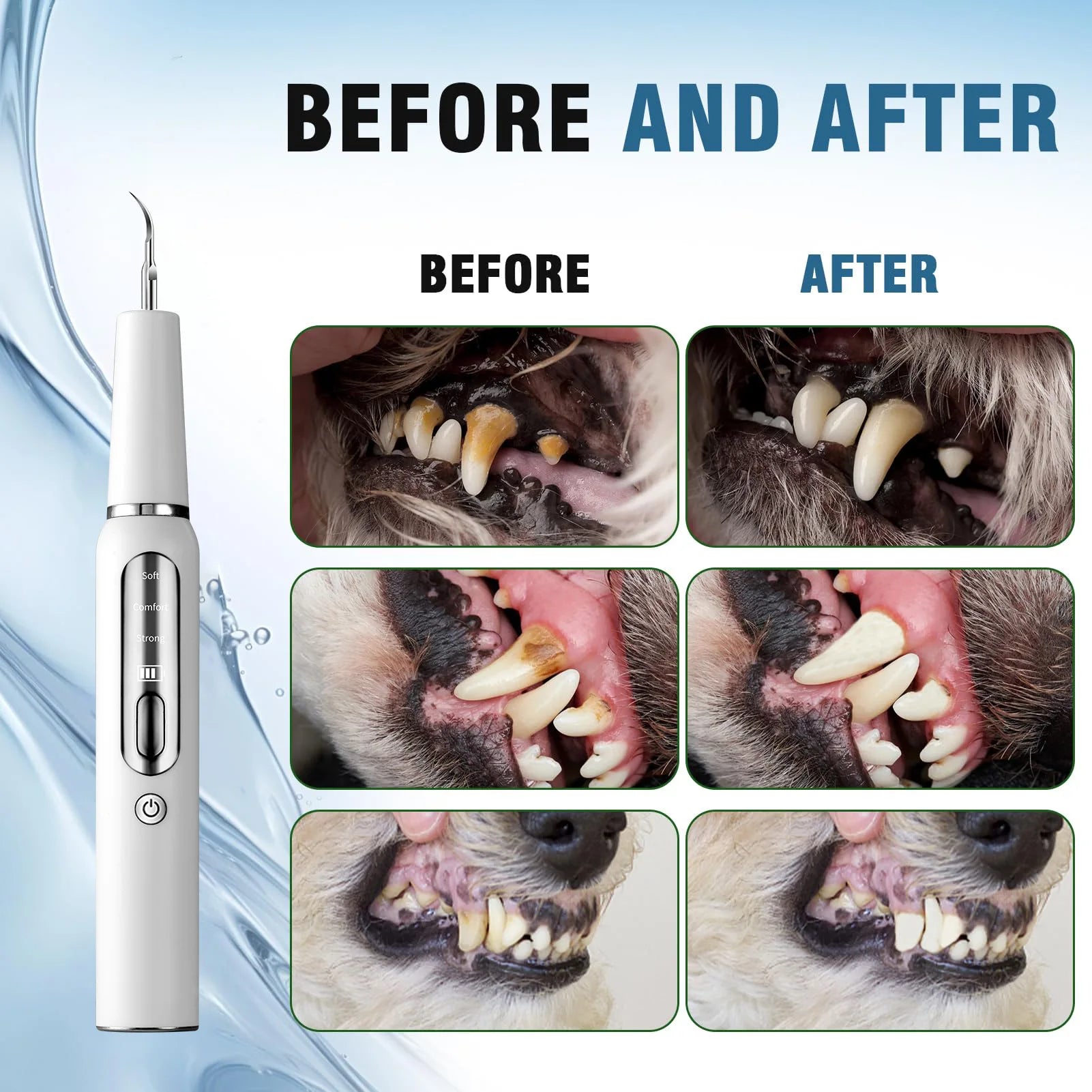 Electric Pet Ultrasonic Scaler