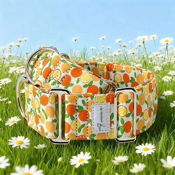 Soft Patterned Martingale Collar