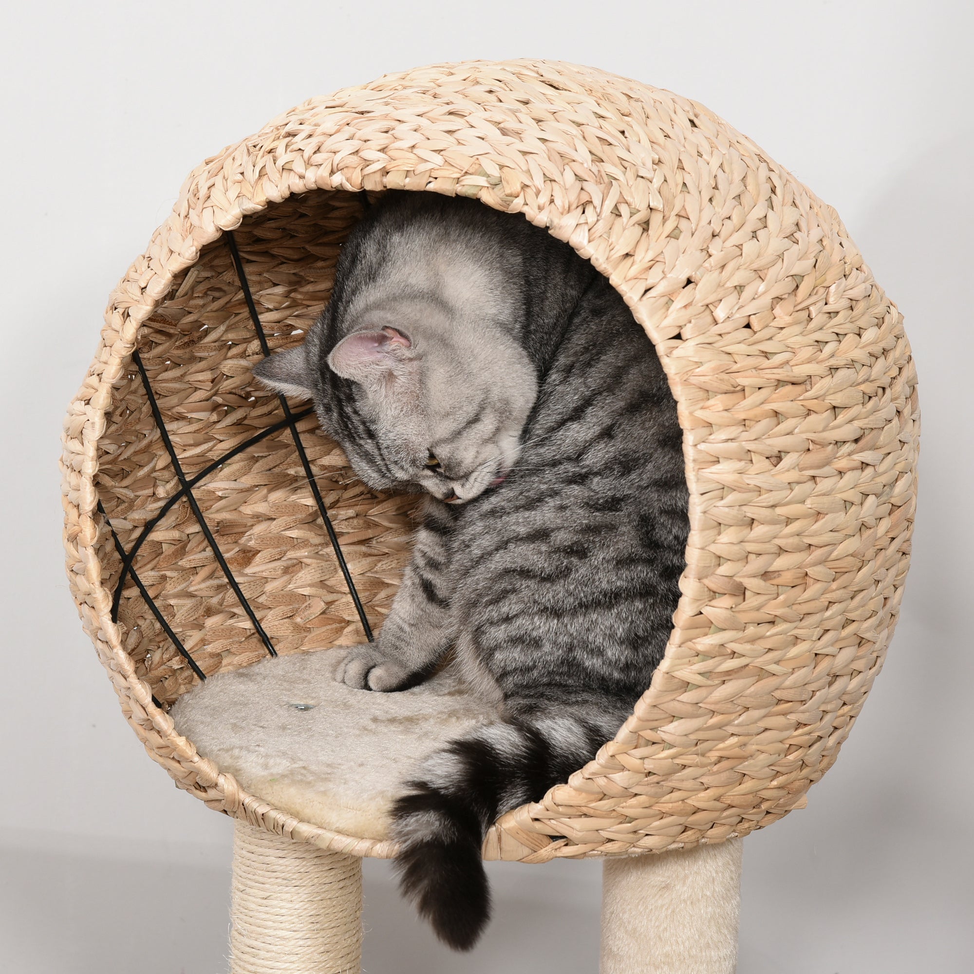 Cat Tree with Sisal Scratching Post & Cattail Fluff Condo