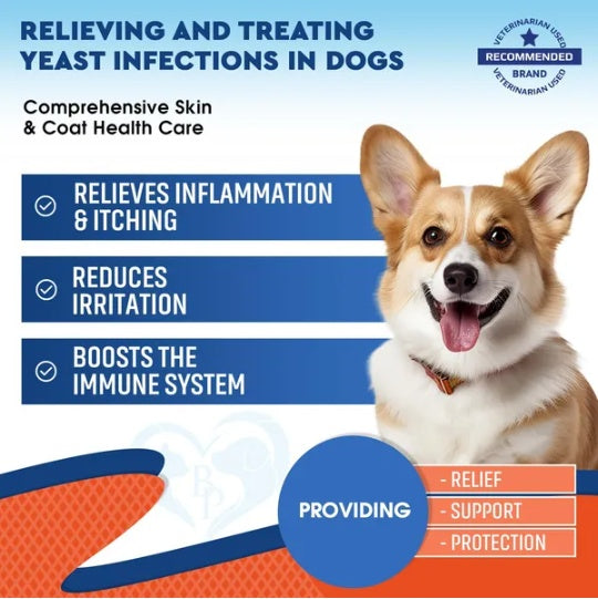 Natural Dog Yeast Infection Relief