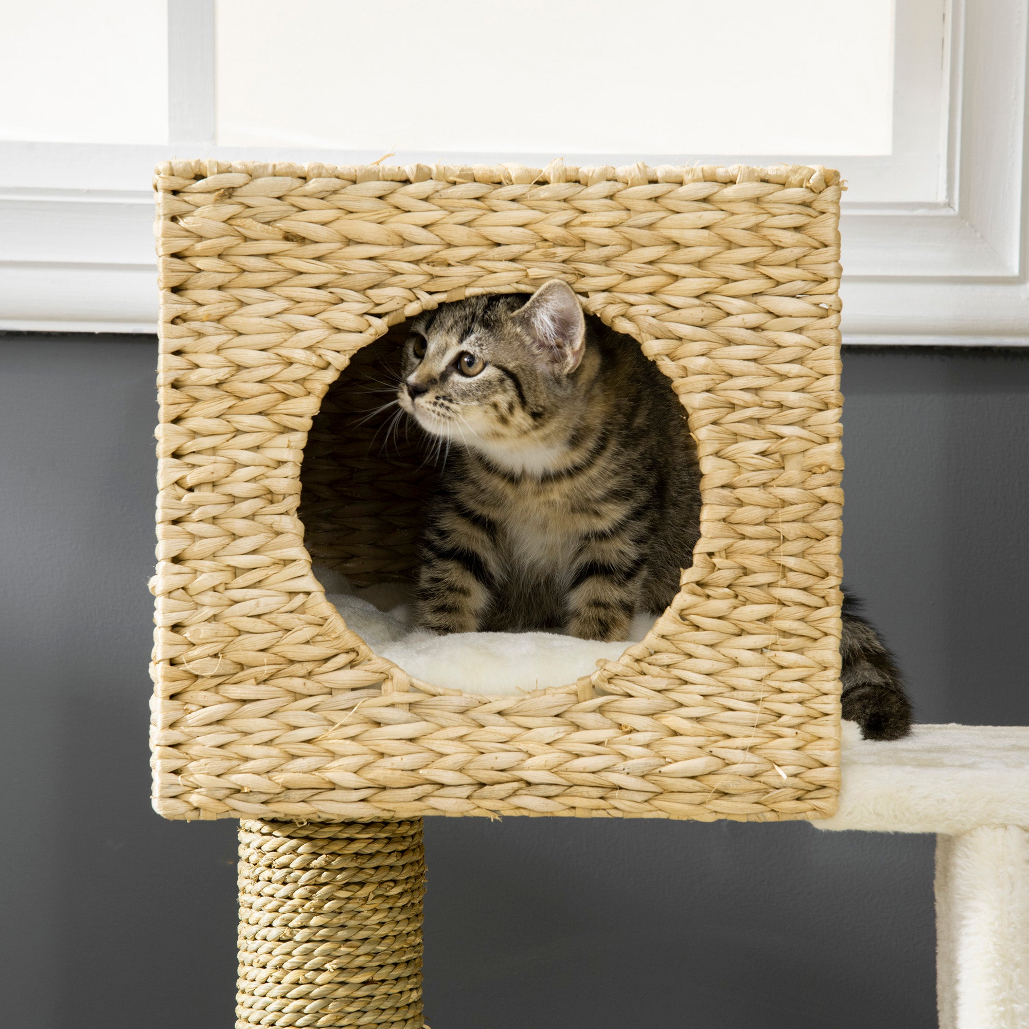 Cattail Weave Cat Tree with Rattan Condo & Wicker Bed