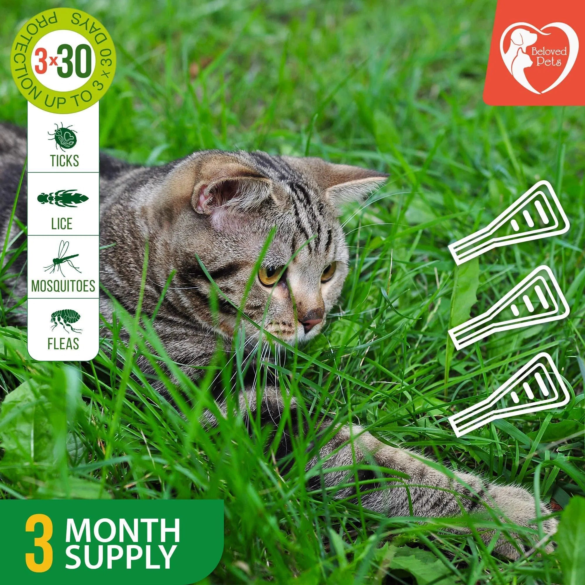 Natural Flea & Tick Prevention for Pets
