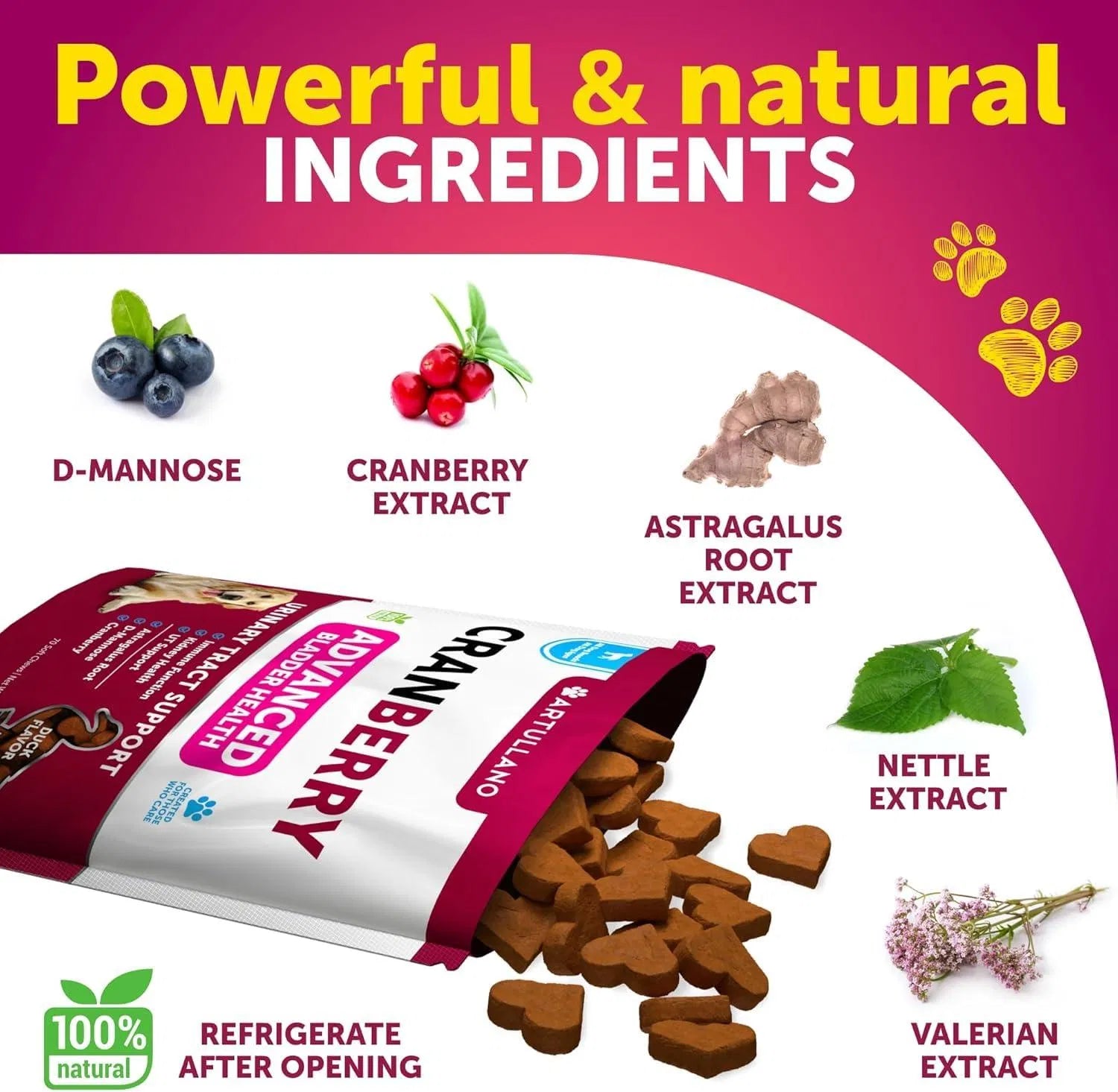 Dog UTI Cranberry Chews