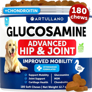 Glucosamine for Dogs: Hip & Joint Support Chews