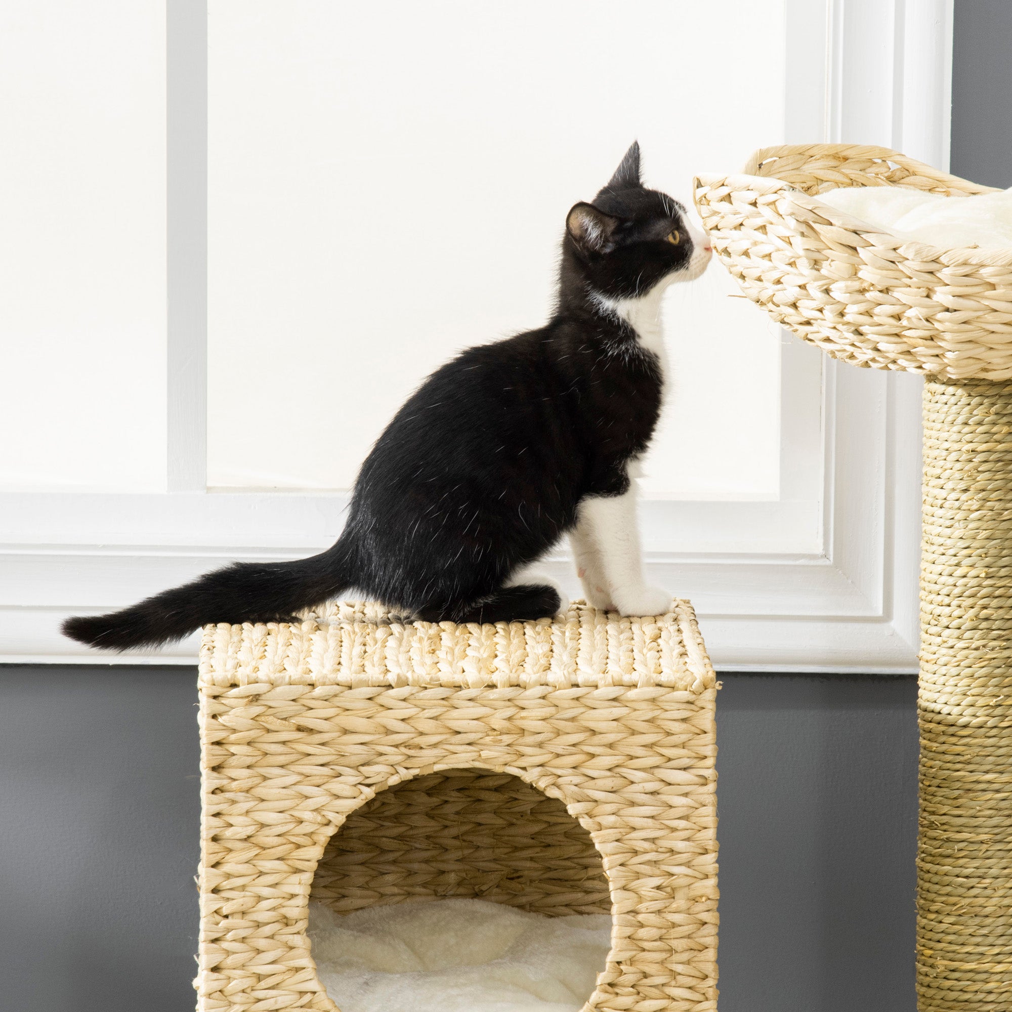 Cattail Weave Cat Tree with Rattan Condo & Wicker Bed