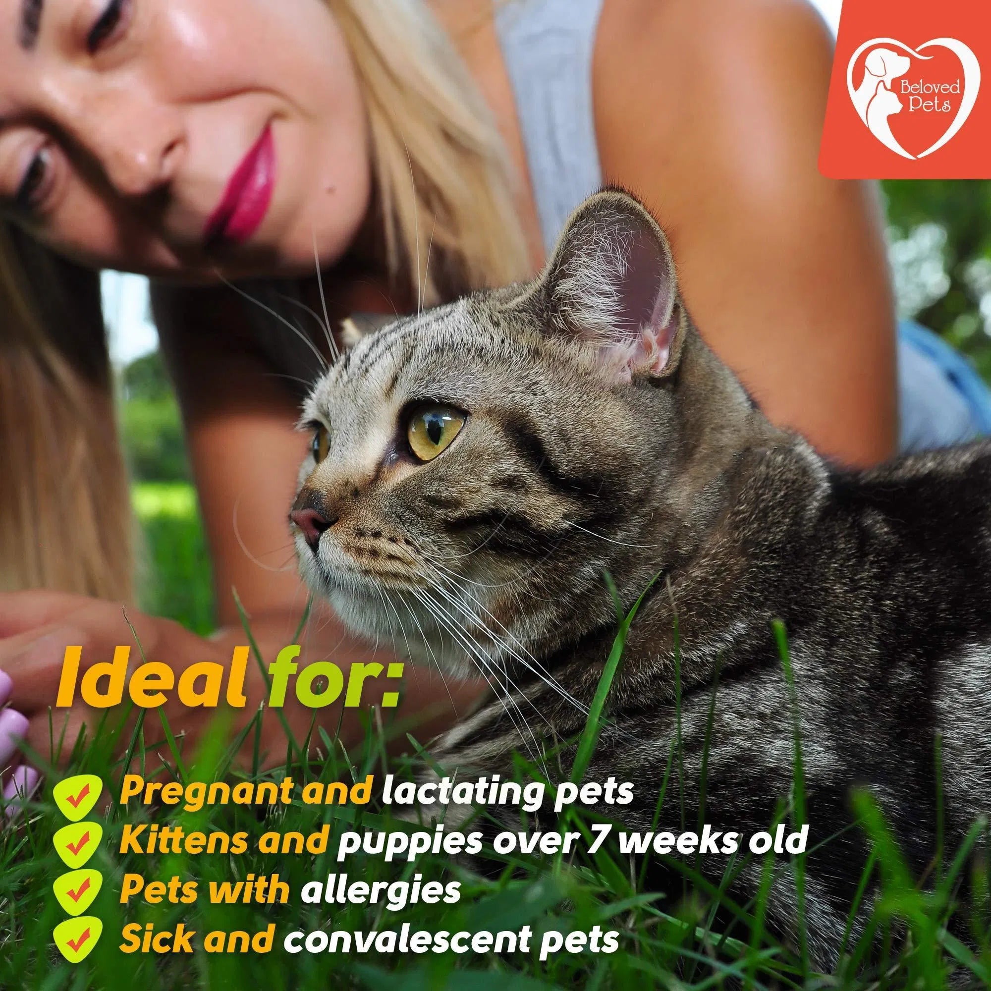 Natural Flea & Tick Prevention for Pets