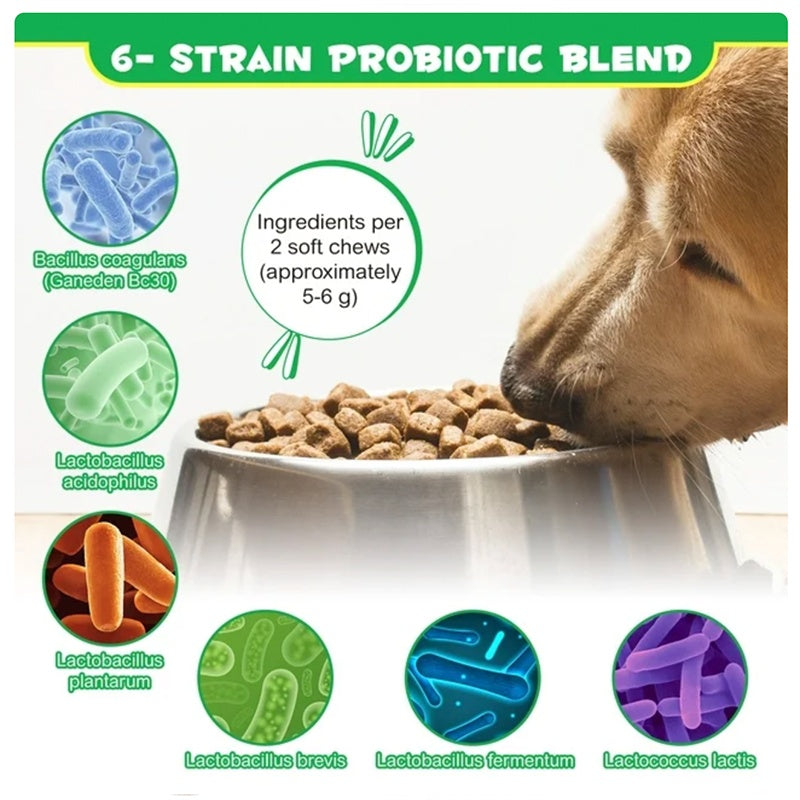 Probiotic Chews for Dogs