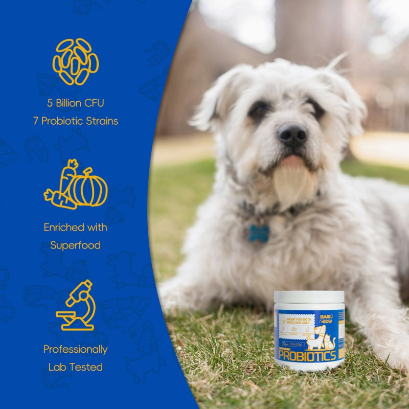 Bark & Meow Pet Probiotics