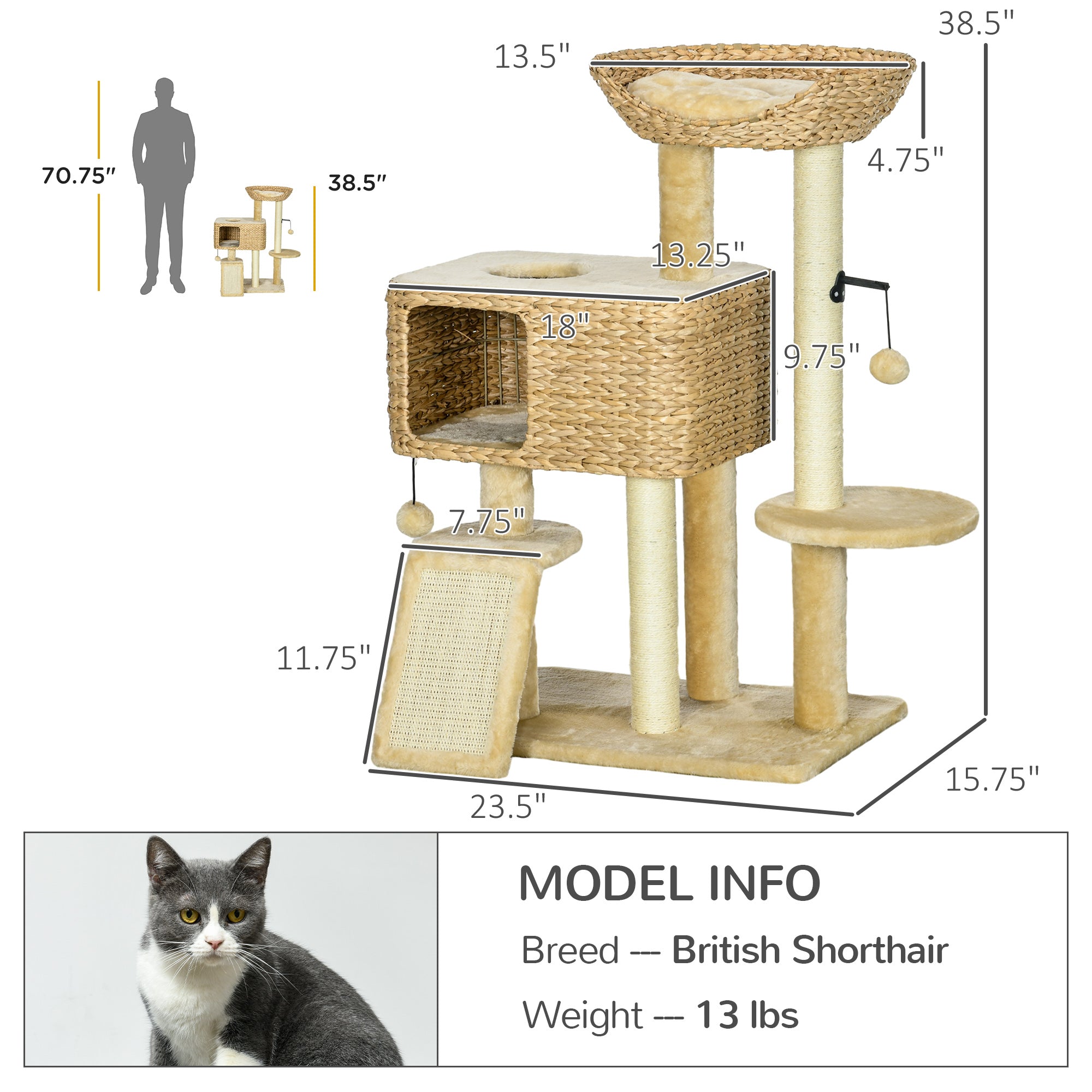 Cat Tree for Indoor Cats w/ Scratching Posts