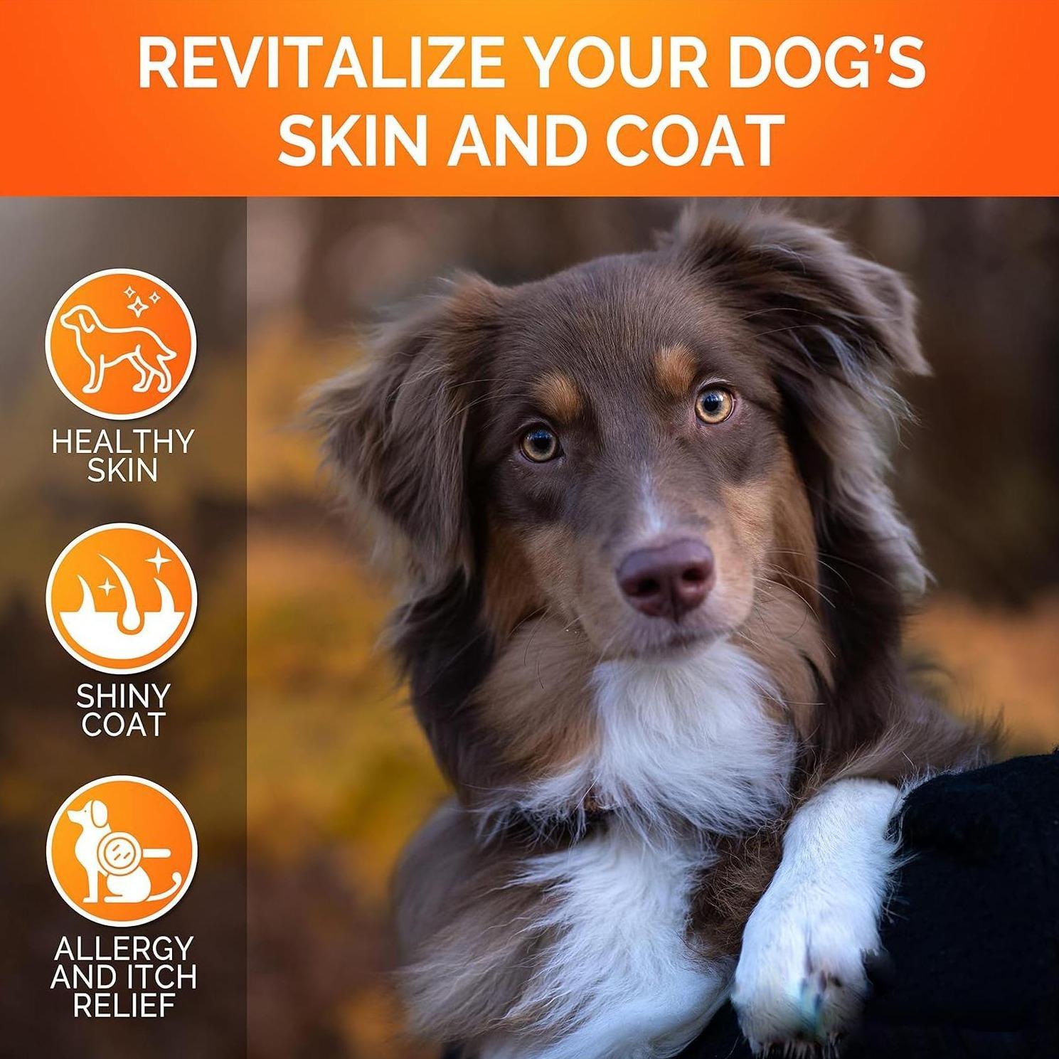 OMEGA Skin, Coat, & Allergy Relief Chews