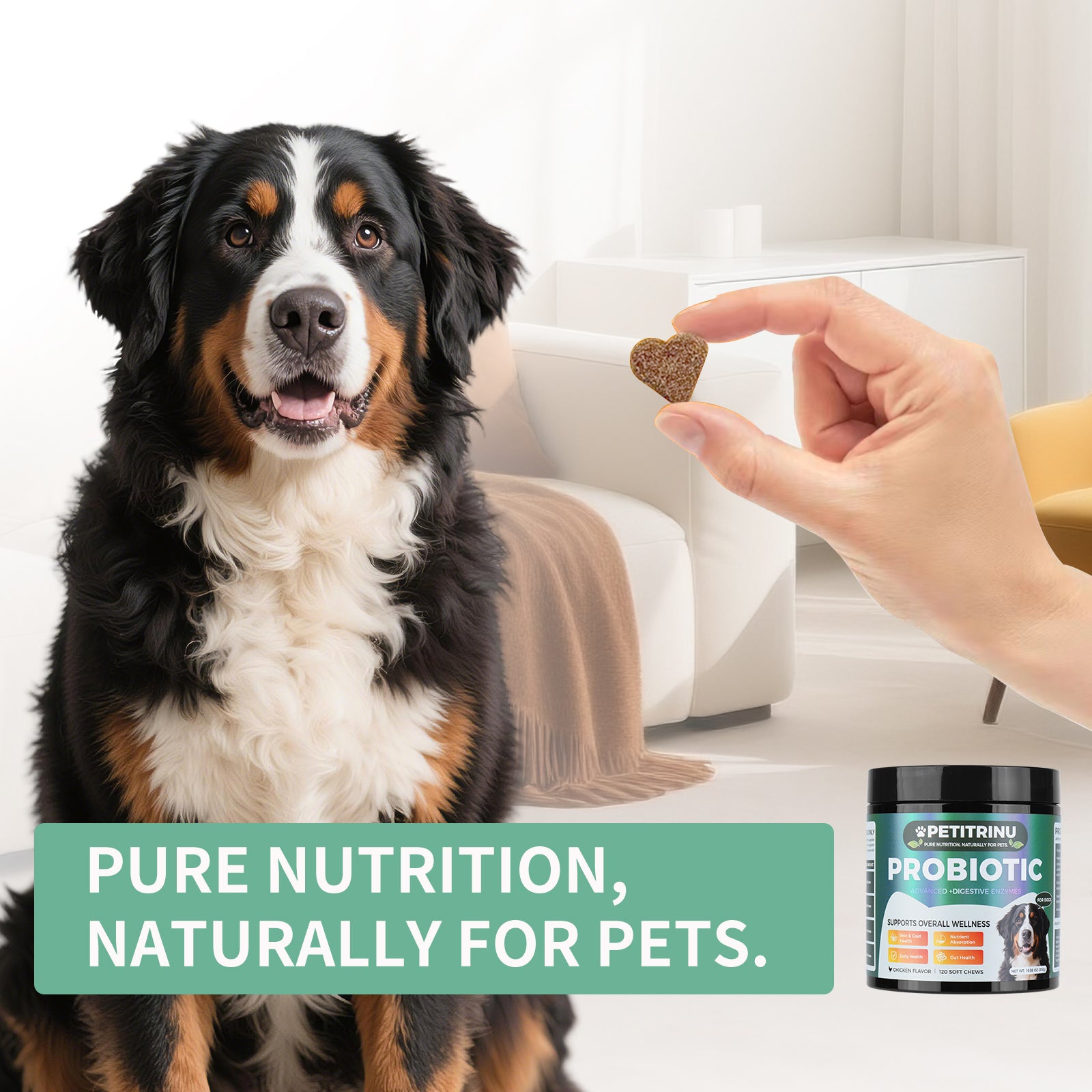 Dog Probiotic & Digestive Chews