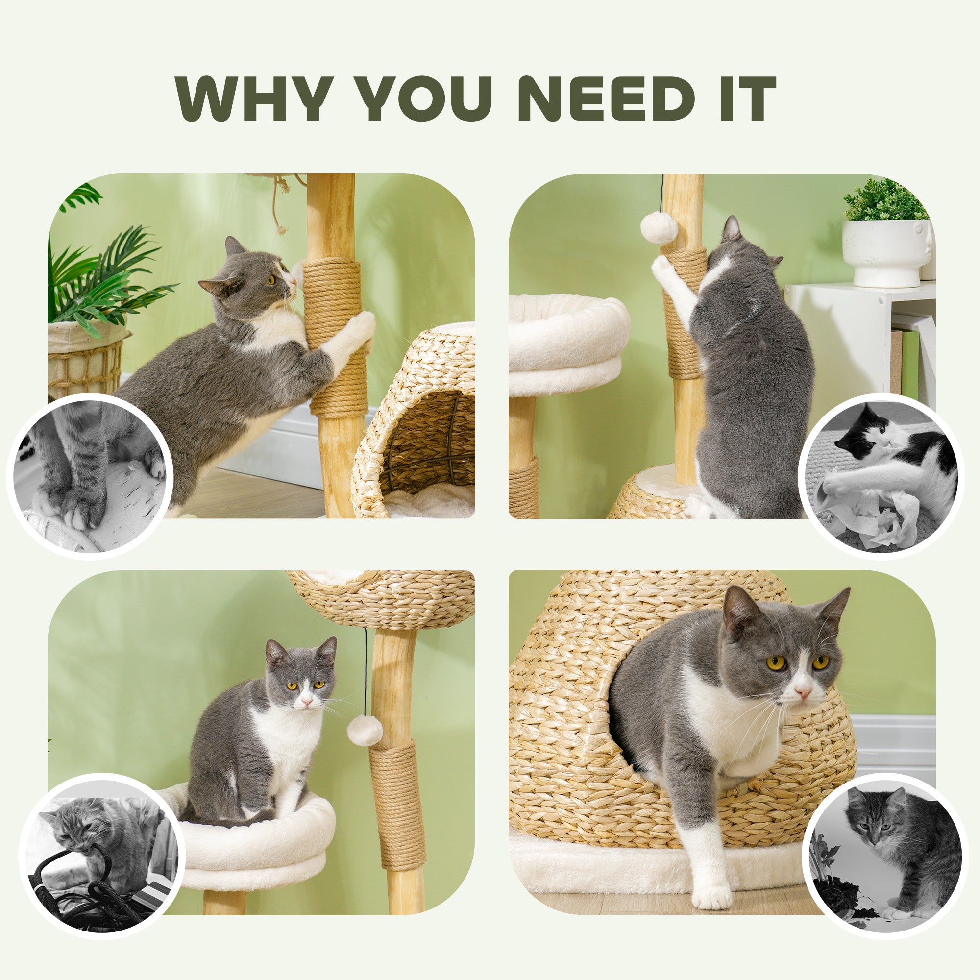 Natural Wood Cat Tree