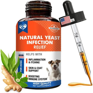 Natural Dog Yeast Infection Relief